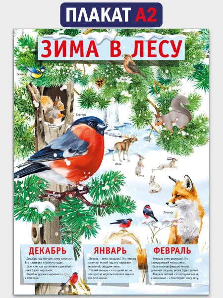 ТМ Мир поздравлений Плакат "Зима в лесу" для детского сада настенный, А2