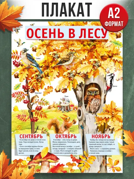 ТМ Мир поздравлений Оформительский плакат в школу Времена года Осень