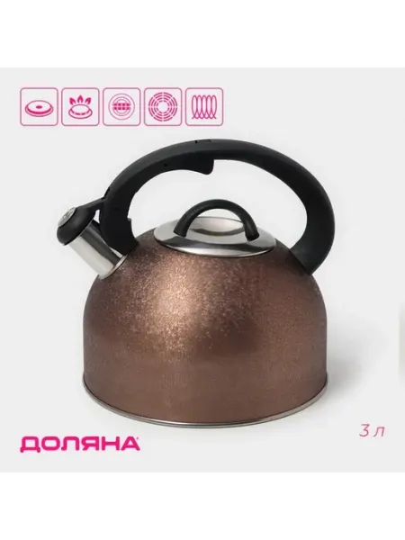Элегантный нержавеющий чайник для всей семьи