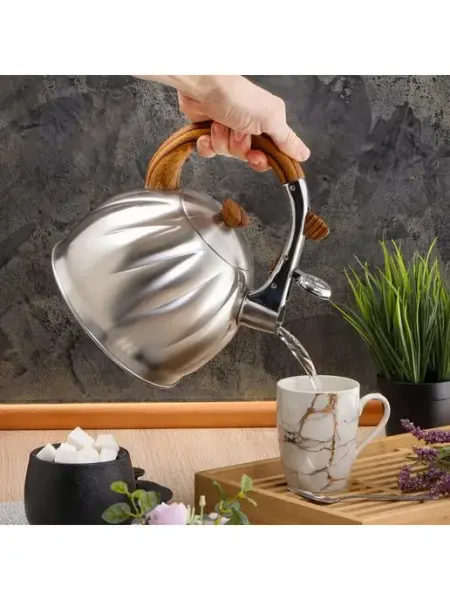 Даникс Чайник для плиты со свистком, 3 л