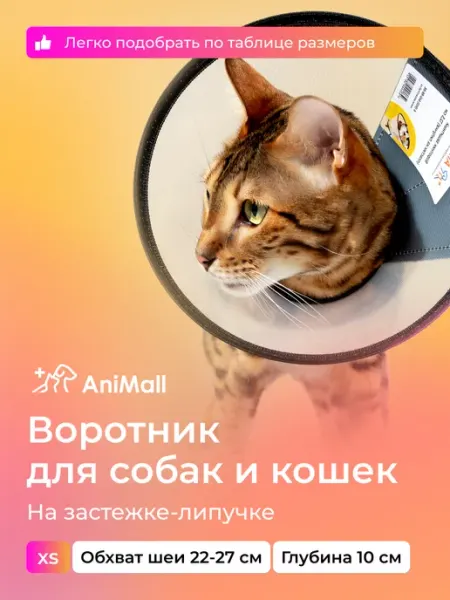 AniMall Воротник защитный для собак и кошек № 10 см, на липучке