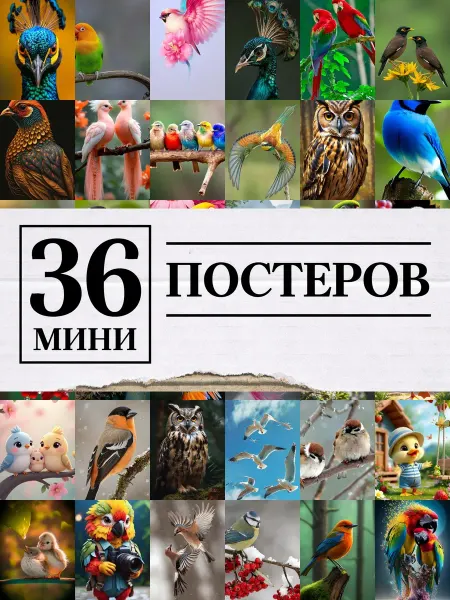 1-й Стикер Минипостеры 36 шт full hd птички