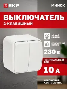 Выключатель двухклавишный накладной ОП Минск 10А белый EKF Basic