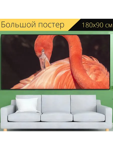 LotsPrints Постер "Фламинго, водоплавающая птица, птица" 180x90см