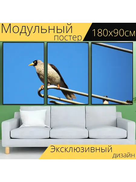 LotsPrints Модульный постер "Птица, шумный шахтер." 180x90см