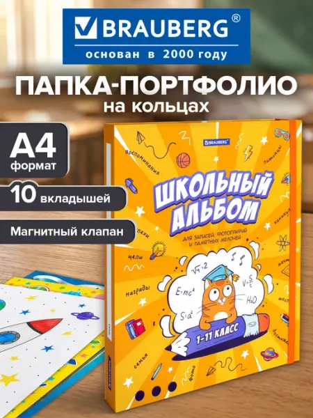 Brauberg Портфолио школьника, папка А4 на кольцах, 10 вкладышей