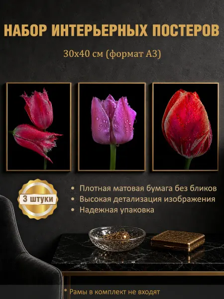 LUMEN PRINT Набор постеров интерьерных на стену "Тюльпаны" 30x40 см