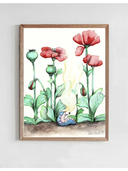 Onllyart Постер Красные цветы мака 40x50