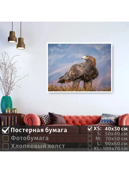 ПолиЦентр Постер на стену "Хищная птица смотрит вдаль" 40х30 см