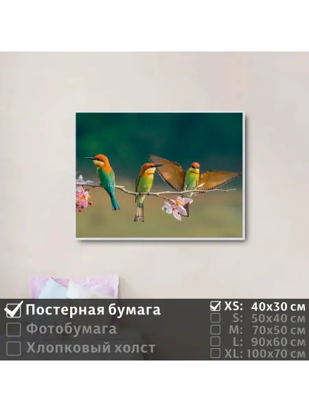 ПолиЦентр Постер на стену "Птицы пчелоеды на цветущей ветке" 40х30 см