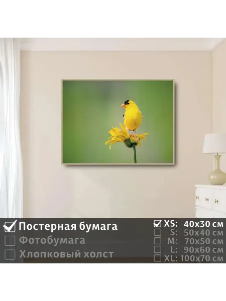 ПолиЦентр Постер на стену "Птичка желтая сидит на цветке" 40х30 см