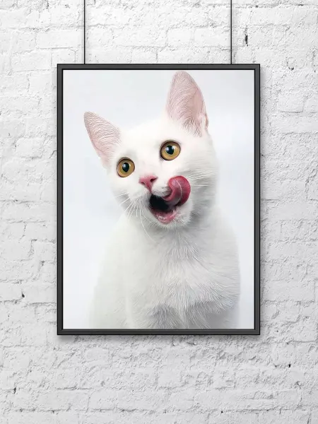 Poster Mall Постер на стену Фото белой кошки 40х50