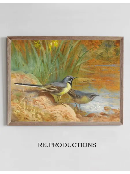 Re.productions Постер 5 Grey Wagtails - Archibald Thorburn