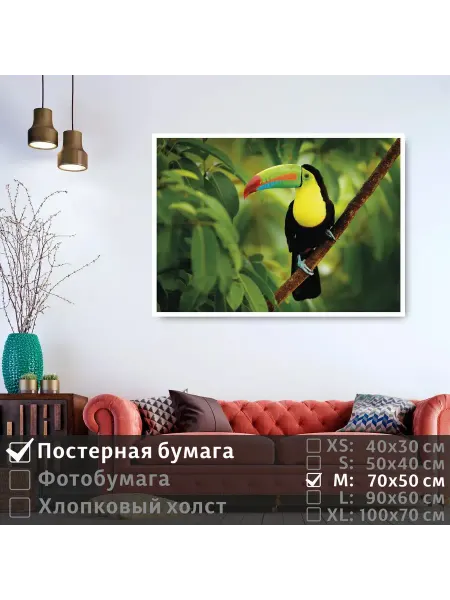 ПолиЦентр Постер "Тропическая птица тукан сидит на ветке" 70х50 см