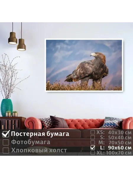ПолиЦентр Постер на стену "Хищная птица смотрит вдаль" 90х60 см
