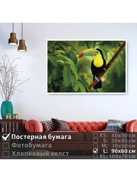 ПолиЦентр Постер "Тропическая птица тукан сидит на ветке" 90х60 см
