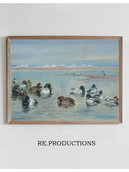 Re.productions Постер Scaup, Golden Eye and Smew - Archibald Thorburn
