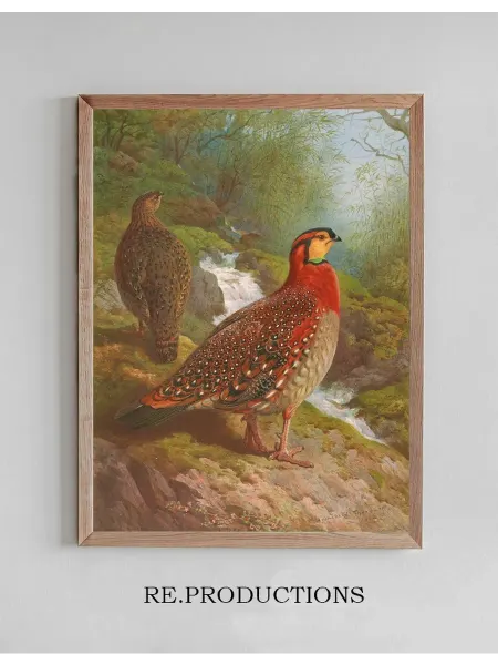 Re.productions Постер Blyth’s Tragopan - Archibald Thorburn