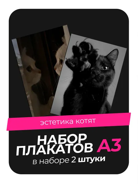 AVAIL Постеры с Эстетикой Котят. 2 штуки в комплекте