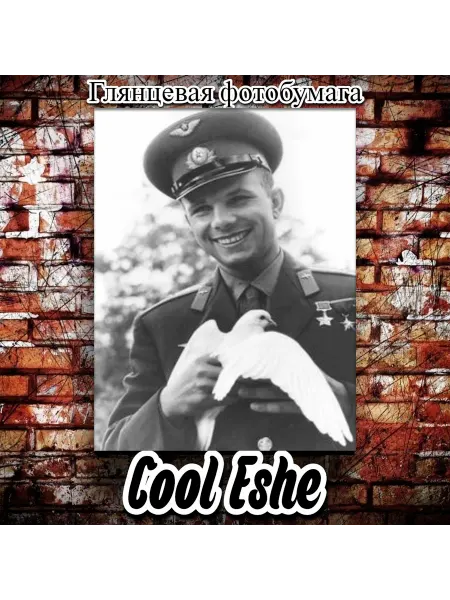 Cool Eshe Постер "Фото Гагарин с голубем, черно-белый снимок" А4