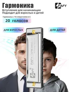 Губная гармошка диатоническая FAFY,10 отверстий,серебристая