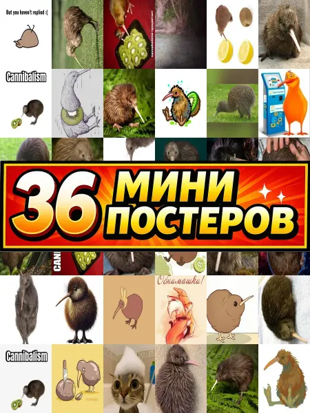Бумажный дом Fun Минипостеры 36 шт птица киви