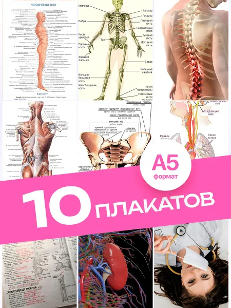 KONNESSI Постеры Медицина и анатомия человека. 10 штук А5