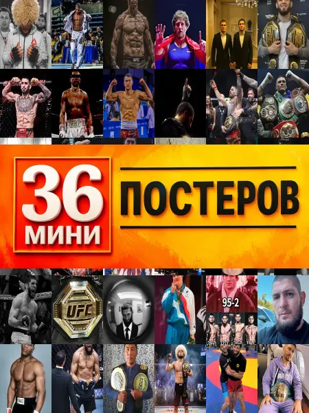 KONOV Минипостеры 36 шт Спорт MMA