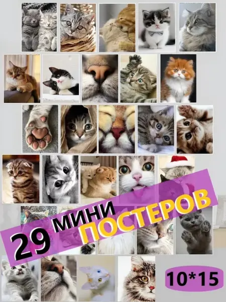 StickerHouse Natali Pank Мини постеры котики коты котята для интерьера