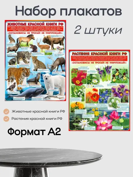 Posters X Детские плакаты по природоведению и окружающему миру набор