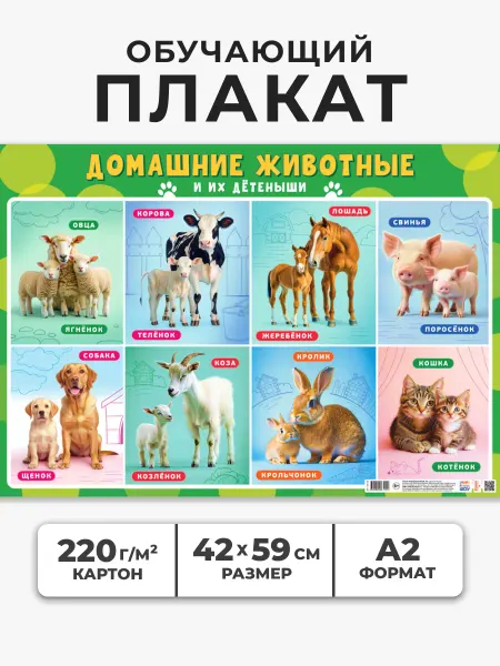 НАДО БРАТЬ ! Обучающий плакат Домашние животные и их детёныши А2
