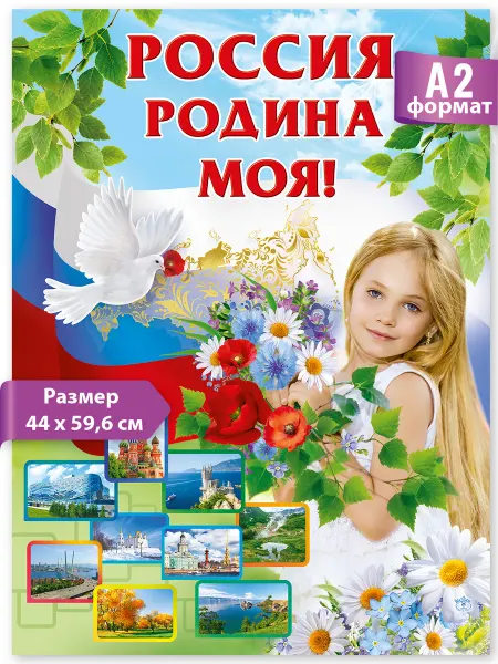 Эмеральд Груп Плакат патриотичный Россия для школы и детского сада А2