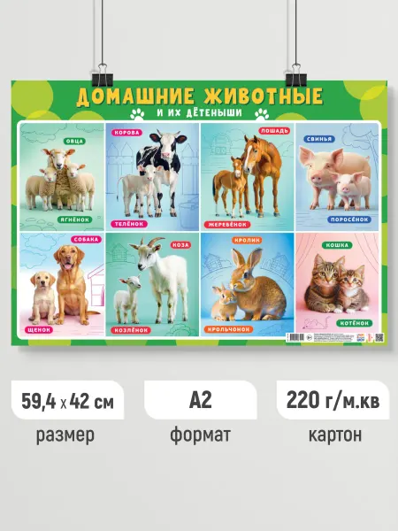 Линия успеха Детский обучающий плакат Домашние животные и их детеныши А2