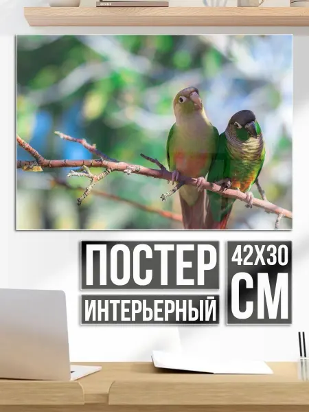 Плакат постер Две птицы на ветке