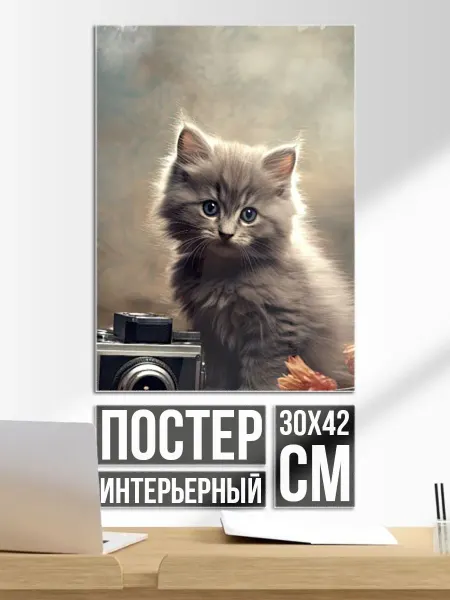 Постер на стену Серый котенок, винтажное фото