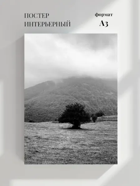 Постер Монохромная фотография дерева
