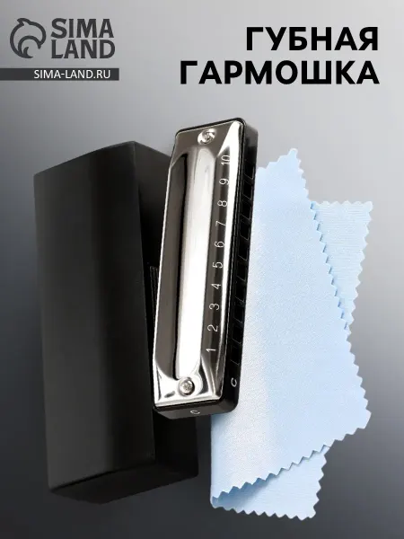 Music Life Губная гармошка 10 отверстий диатоническая с футляром