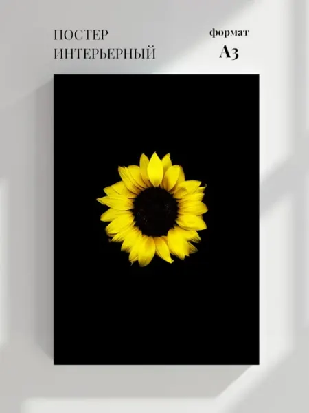 Постер Фотография подсолнуха на черном фоне