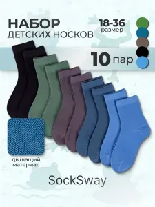 Носки SockSway для мальчиков детские для мальчика, 10 пар