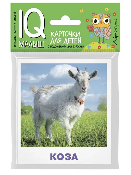 Умный малыш Домашние животные