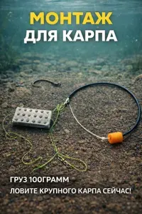 Монтаж для карпа 100 г готовый карповая снасть донная, оснастка с грузом, поводок, вертлюжок