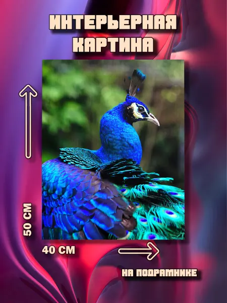 100картин Картина на стену Павлин 50х40