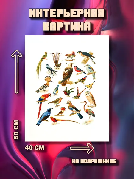 100картин Картина Птицы 50x40