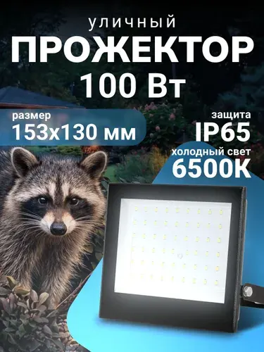 Прожектор светодиодный уличный 100 Вт 6500K, влагозащита IP65