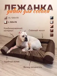 Диван лежанка для собак крупных пород велюр латте 100*70 см