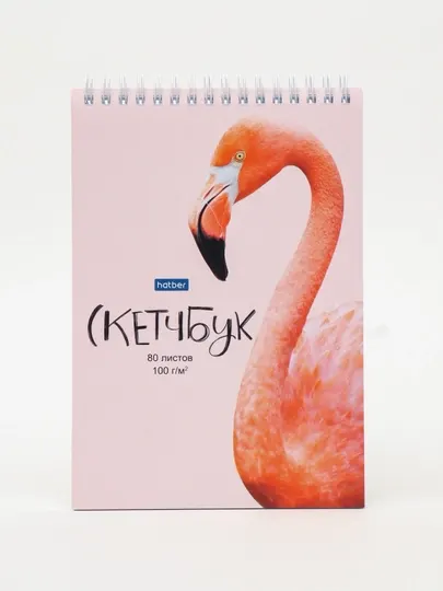 Блокнот SketchBook Hatber без линовки, Фламинго, 80 л, А5ф, 100г/кв.м, 80Б5Aгр_23822