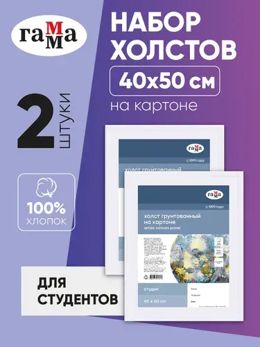 Холст на картоне 40х50 см, 100% хлопок, грунтованный, 2 штуки