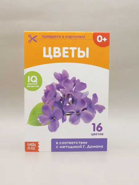 1000 Каталог обучающие карточки ЦВЕТЫ