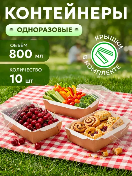 Одноразовый контейнер для еды на пикнике