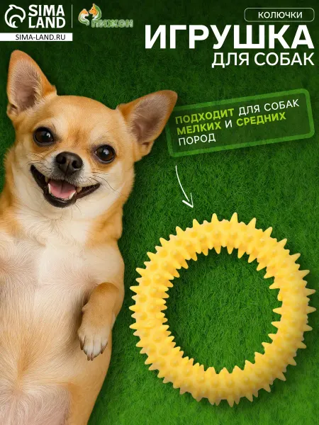 1000 Каталог Игрушка плавающая для собак Колючки